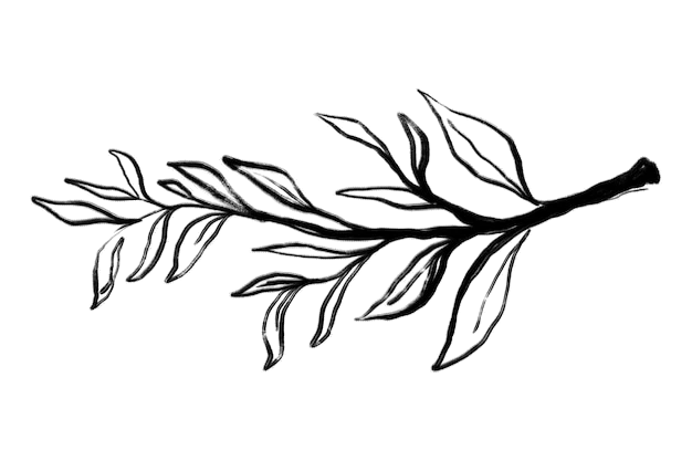 A floral branch divider image.